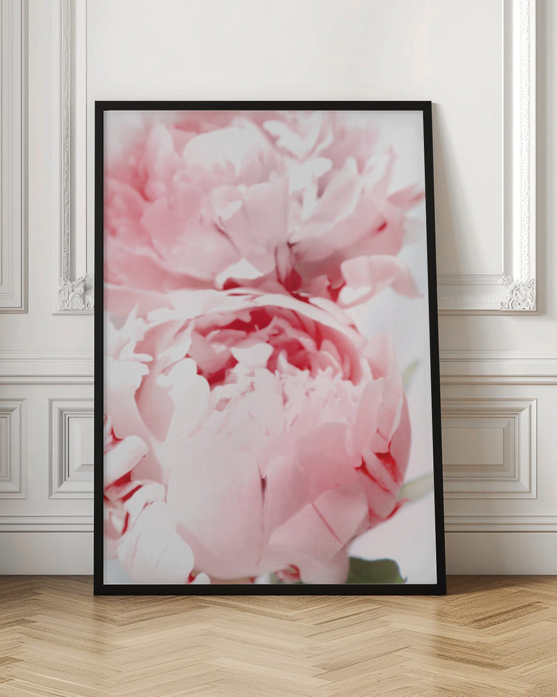 Bllush peony X Poster