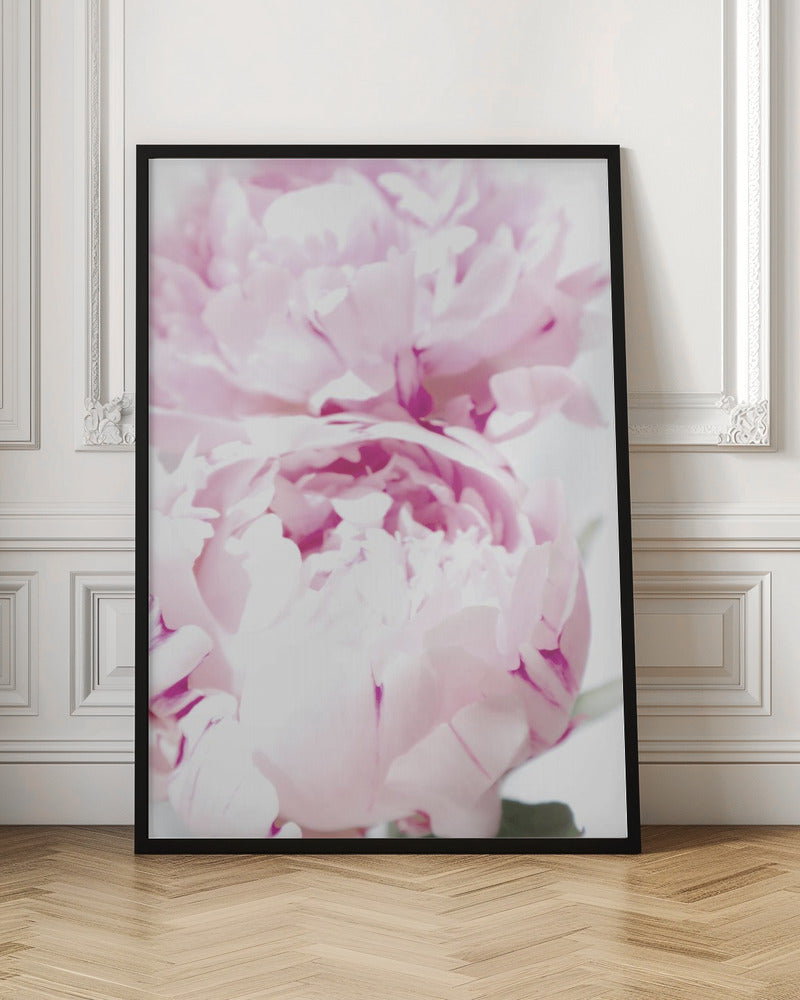 Subdued peony X Poster