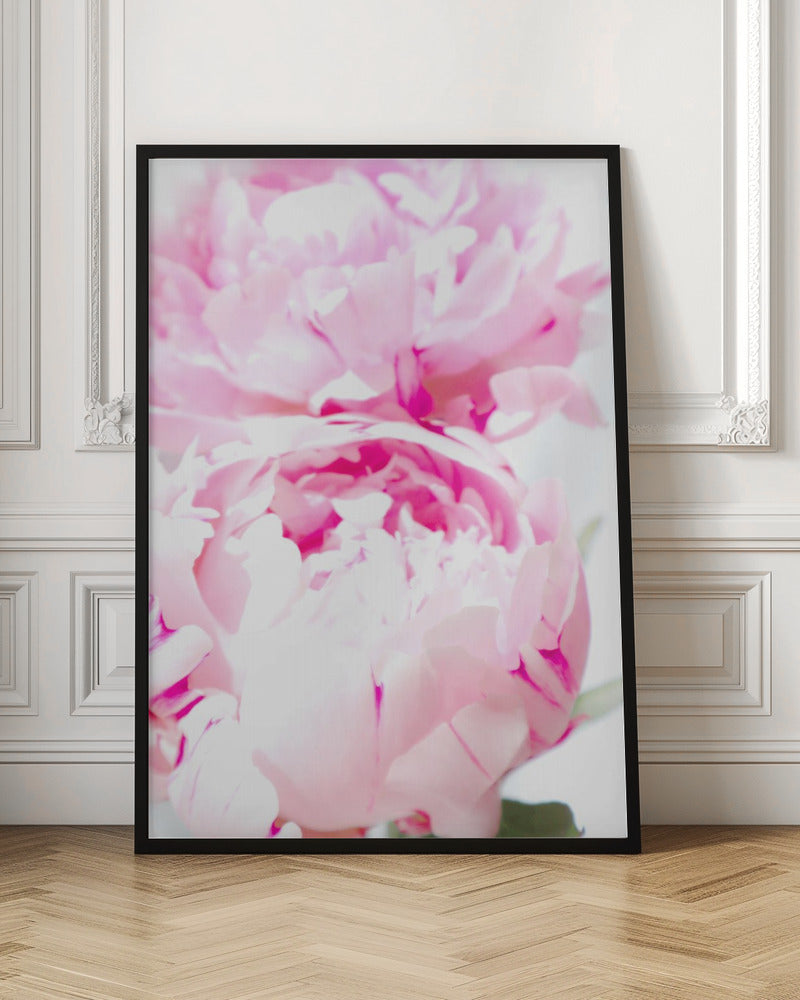 Pink peony X Poster