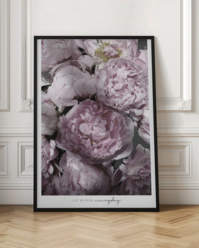 Life blooms everyday peonies Poster