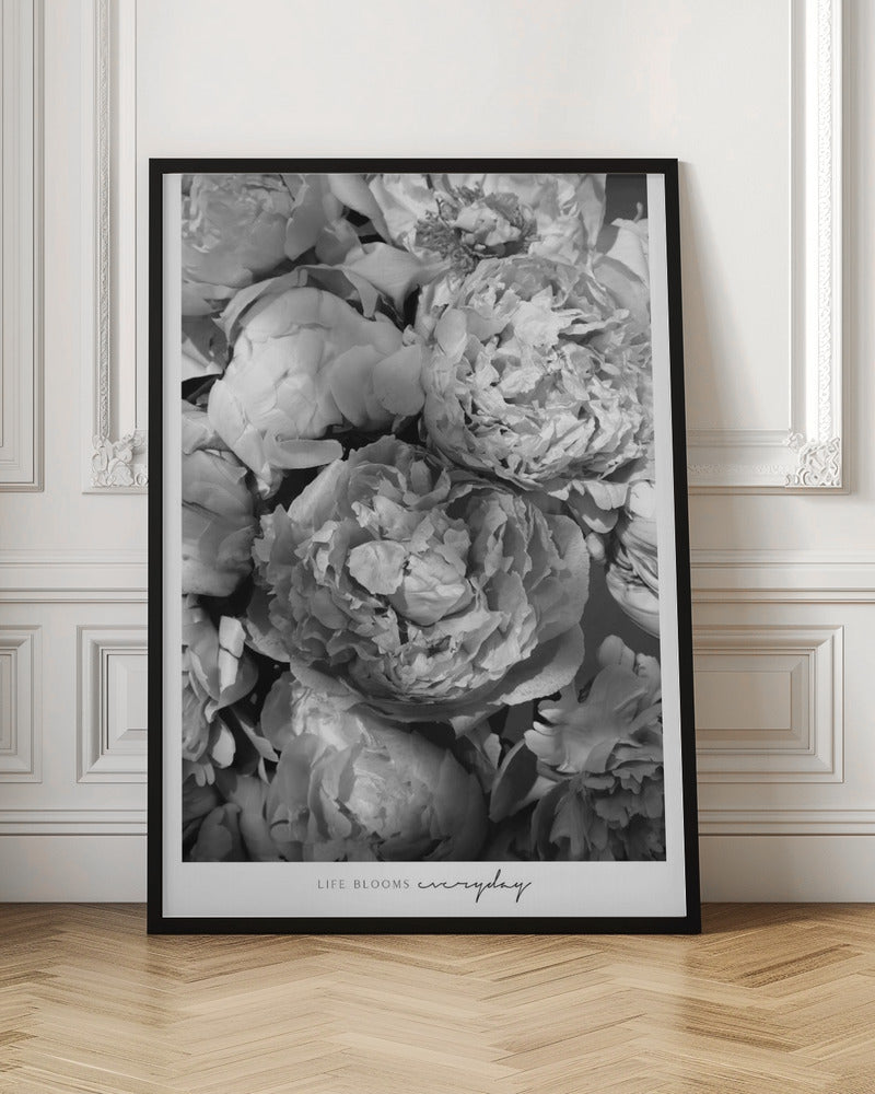 Life blooms everyday peonies bw Poster