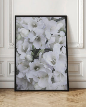 Distressed freesias V Poster