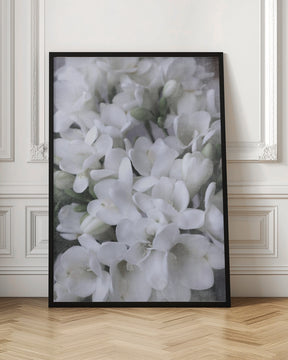 Distressed freesias IV Poster