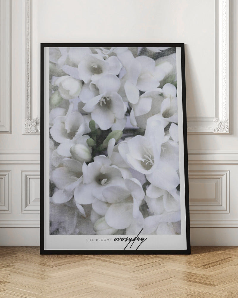 Distressed freesias II Poster