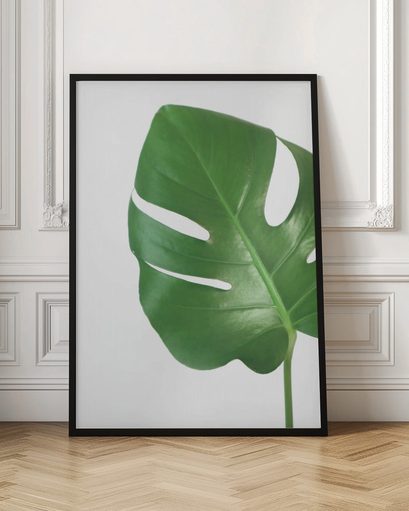 Bright green monstera leaf Poster