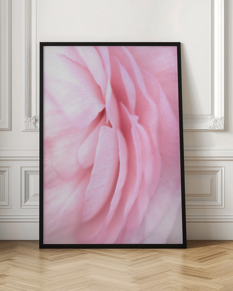 Soft pink petals Poster