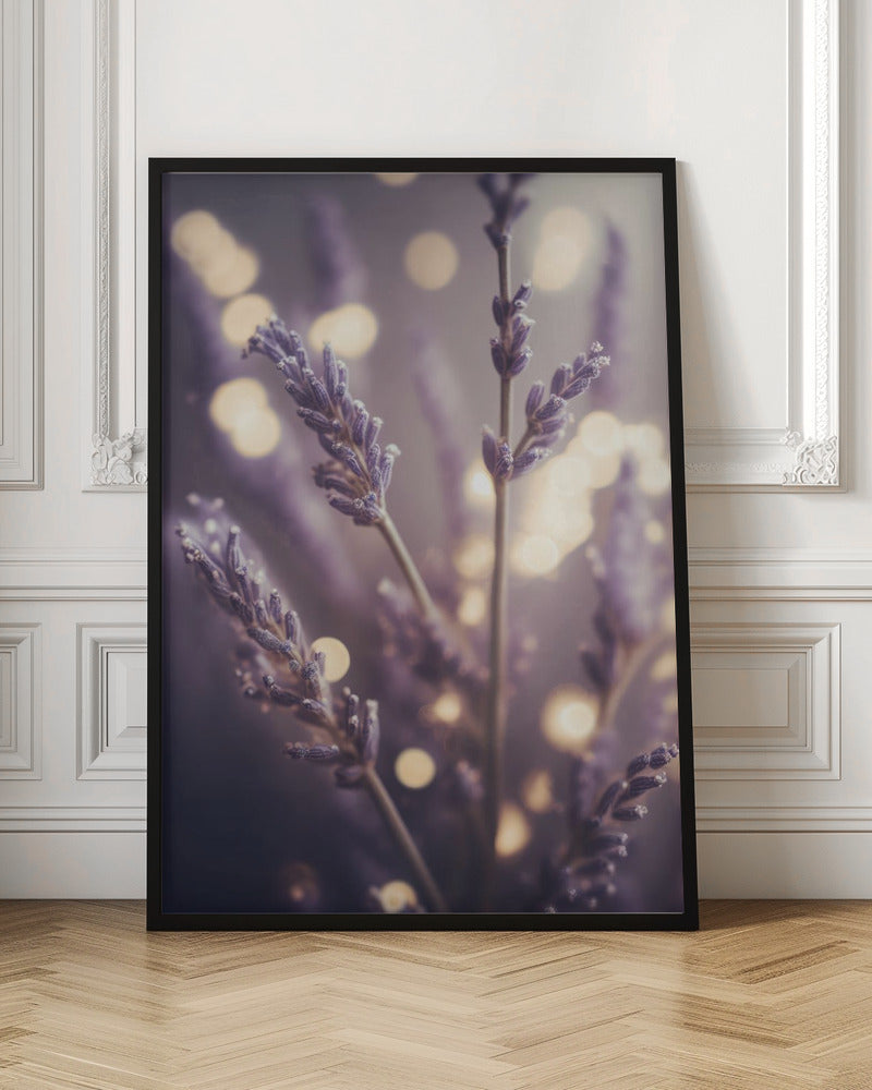 Lavender Detail Poster