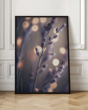 Lavender Macro Poster