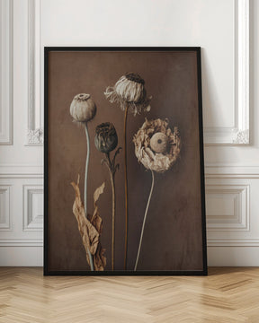 Three Dry Flowers Poster