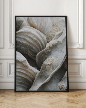 Sea Shells Detail No 1 Poster