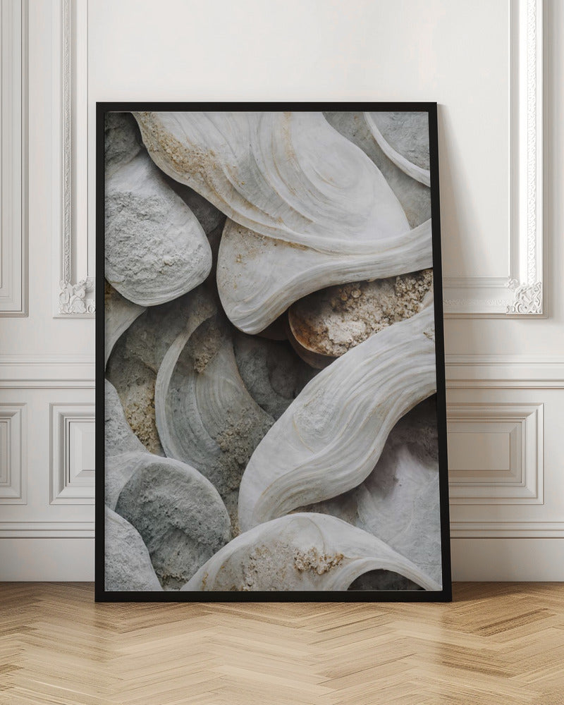 Sea Shells Detail No 3 Poster