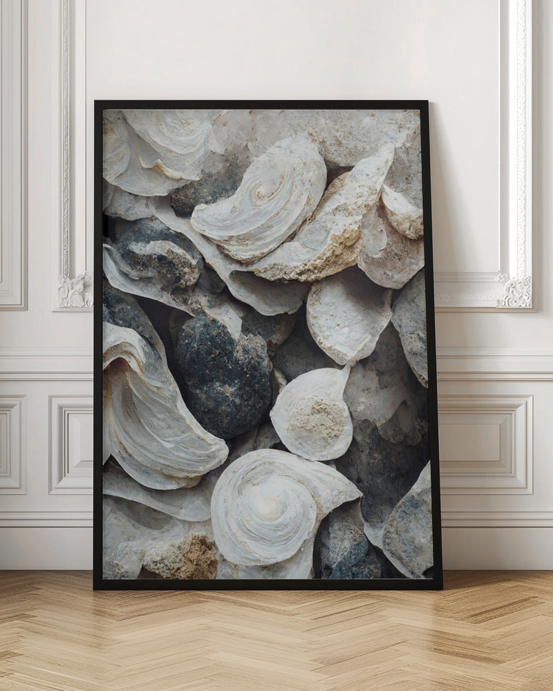 Sea Shells Detail No 4 Poster