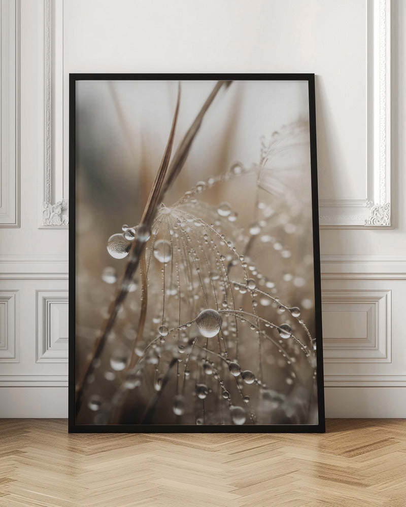 Rain Drops Poster