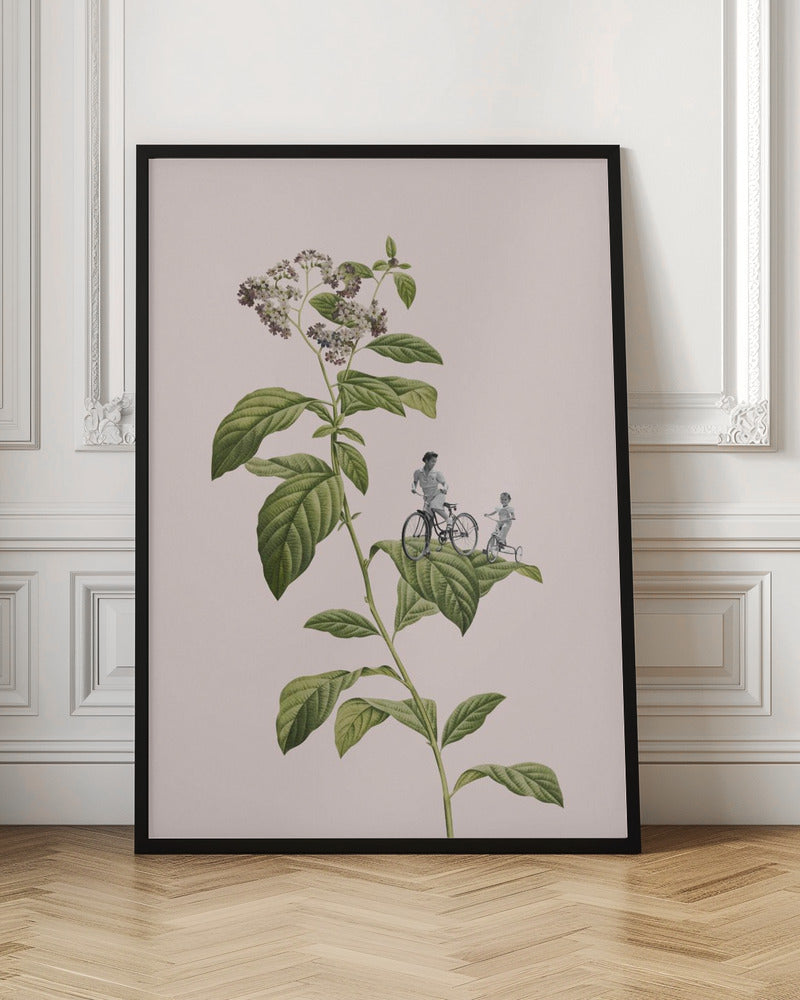 Botanical cycling Poster