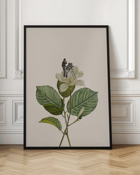 Botanical vintage cameraman Poster