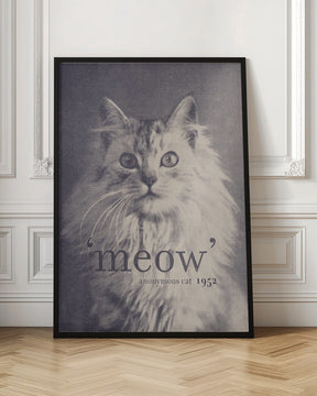 Famous Quote Cat Poster