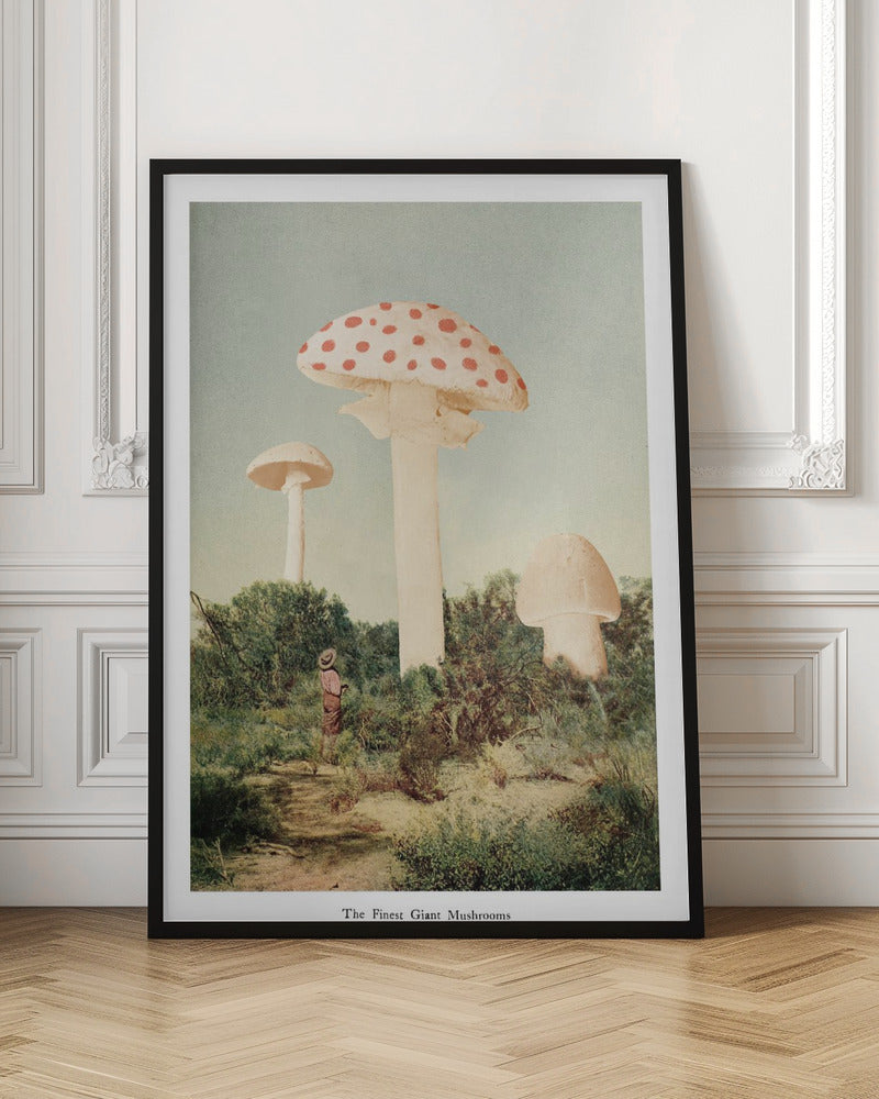 The Finest Giant Mushroom Poster