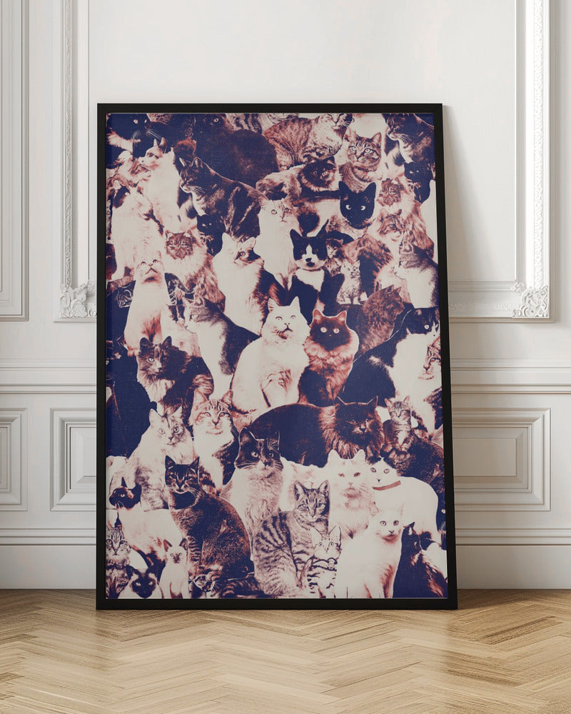 Cats Forever Poster