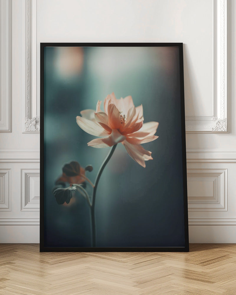 Coral Flowers At Night Poster