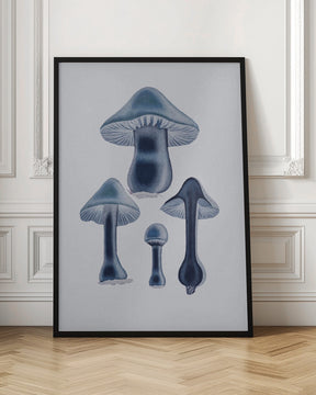 Agaricus Bulbosus - Blue Poster