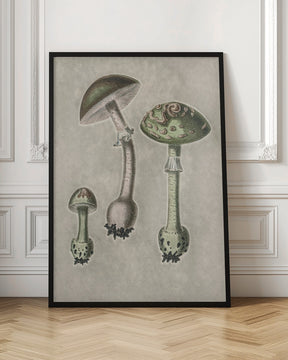 Amanita Muscaria Remix Green Poster