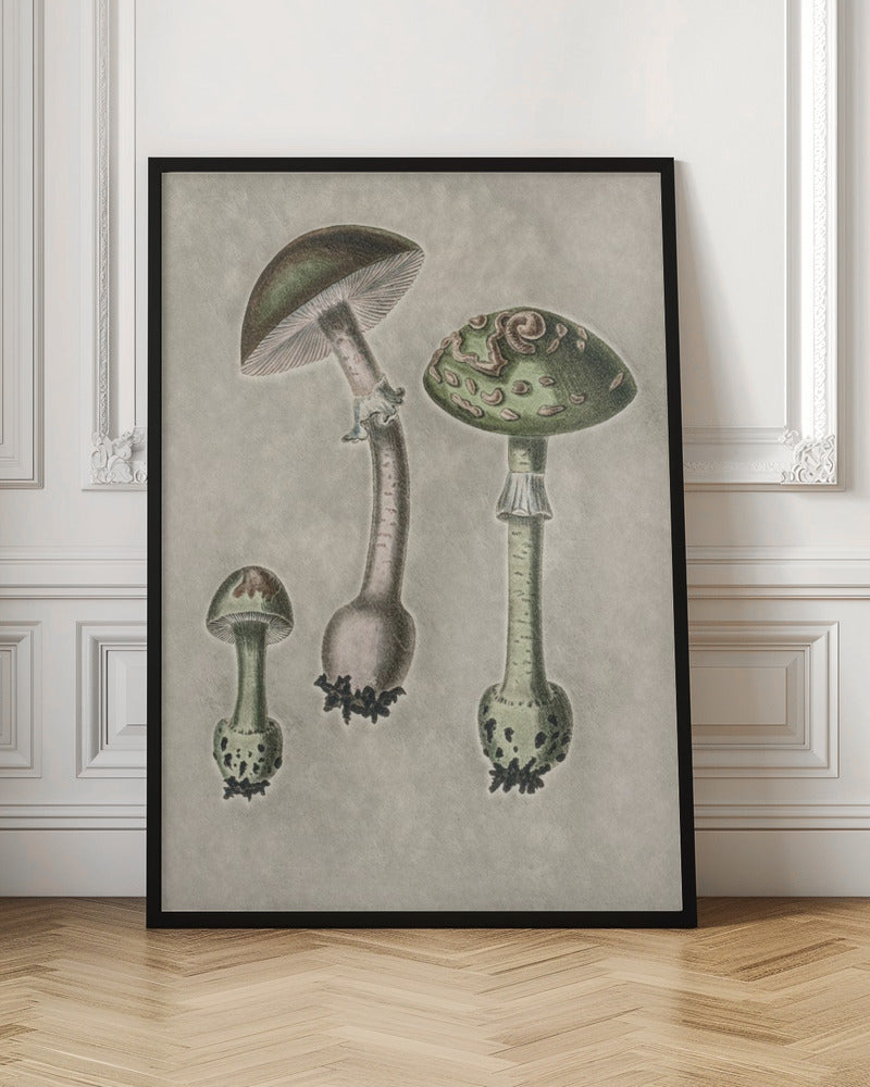 Amanita Muscaria Remix Green Poster