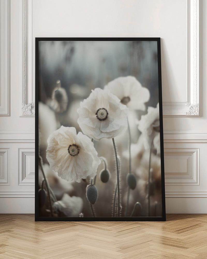 White Poppy Field No 1 Poster