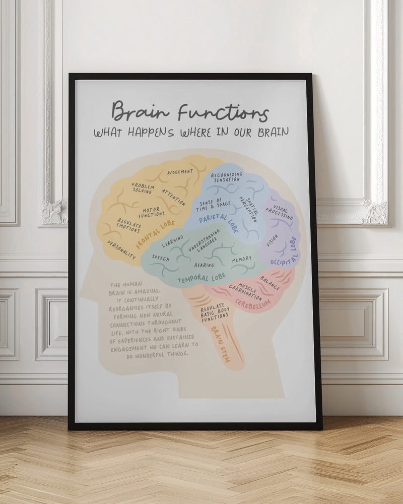 Brainfunctions Poster