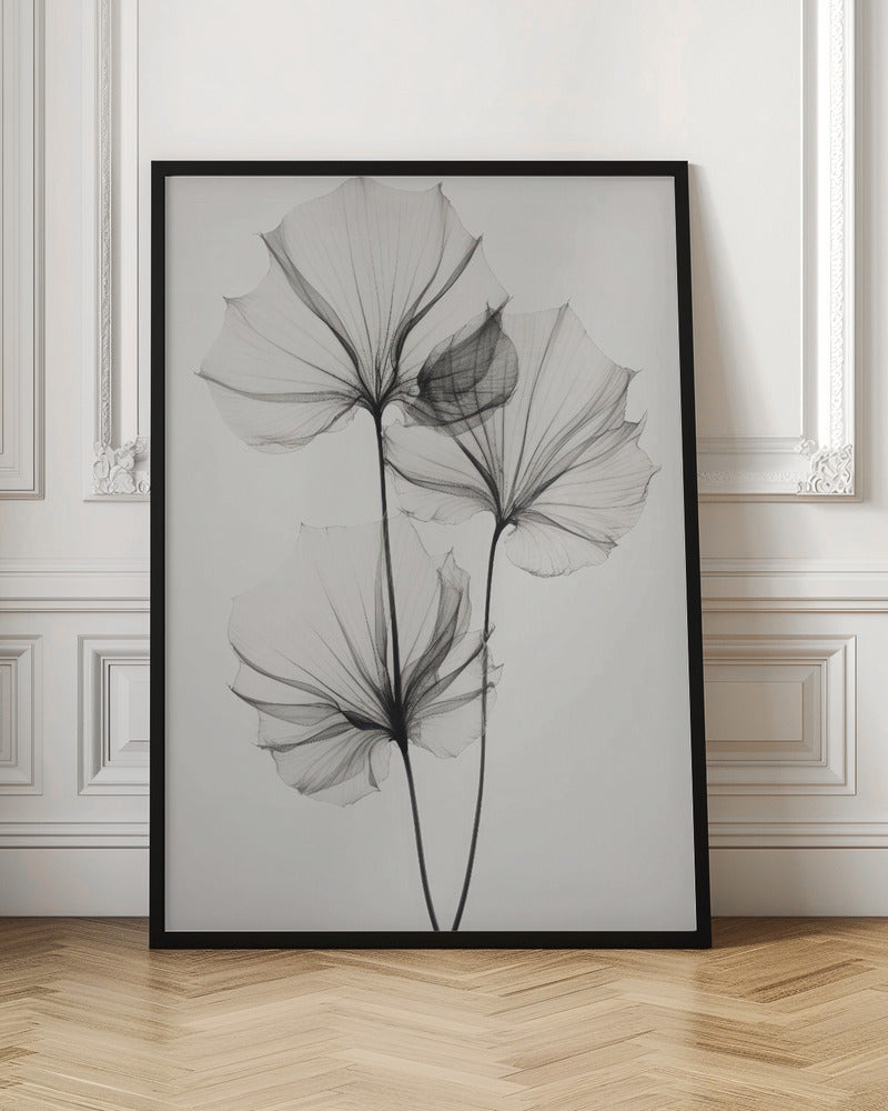 Transparent Botanic No 3 Poster