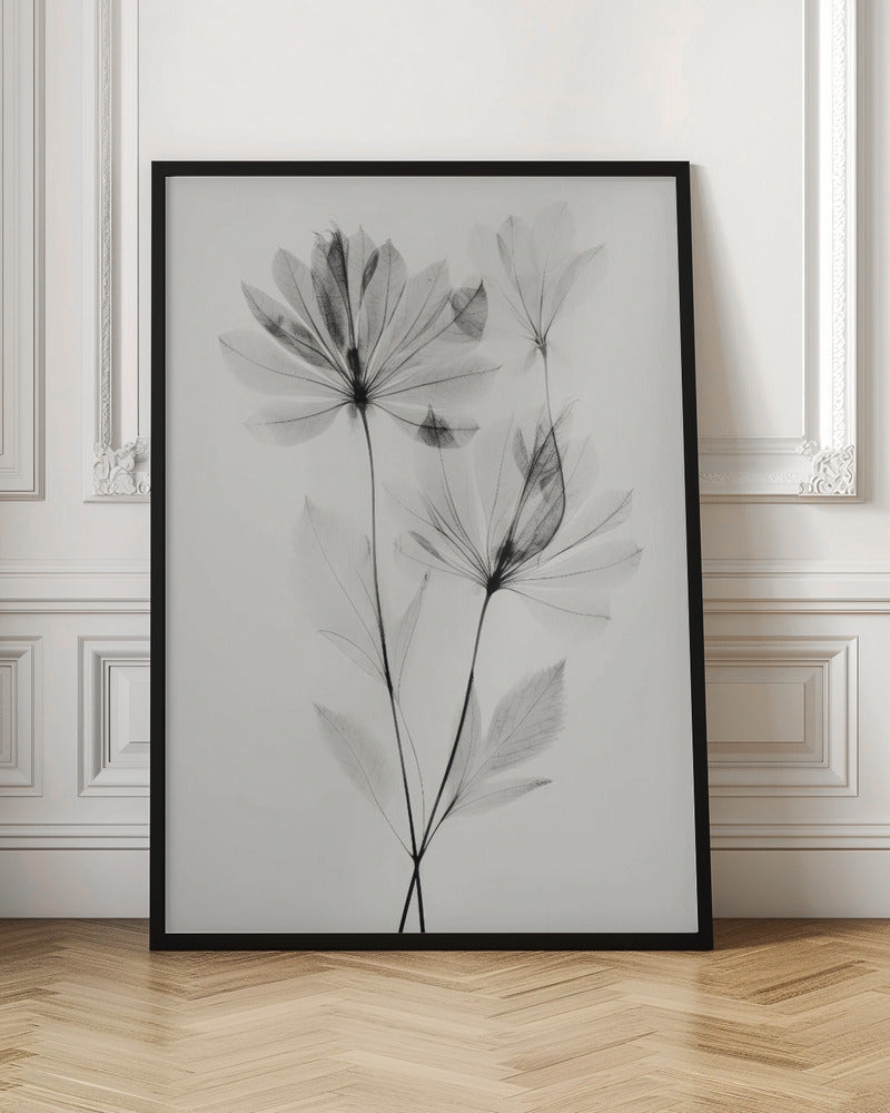 Transparent Botanic No 4 Poster