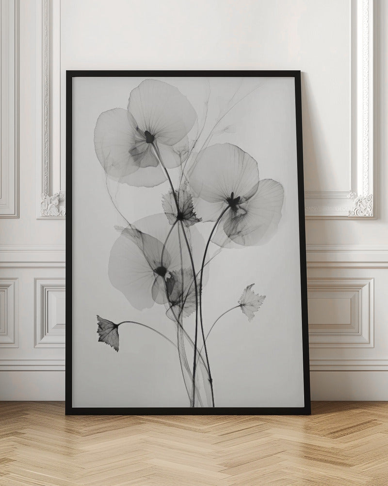 Transparent Botanic No1 Poster