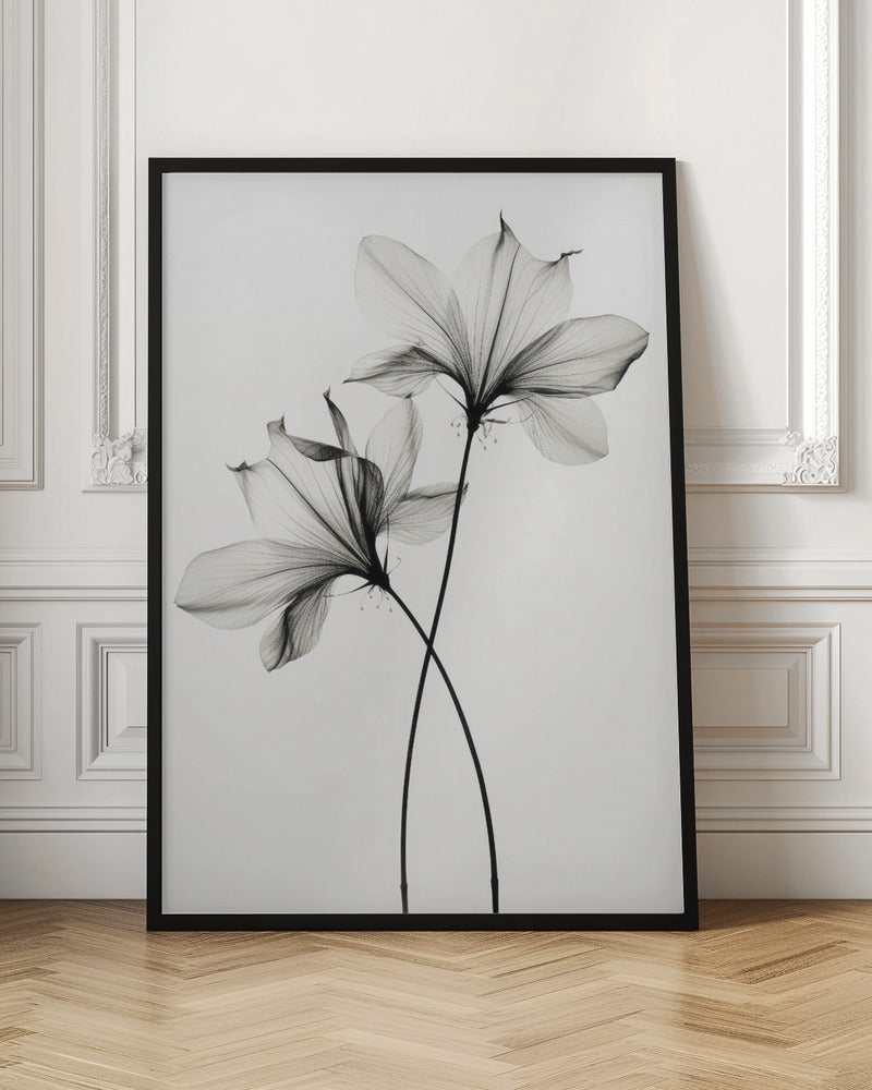 Transparent Botanic No 6 Poster