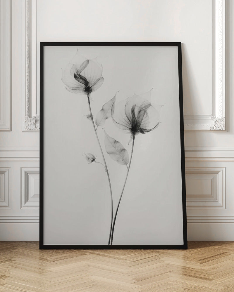 Transparent Botanic No 7 Poster