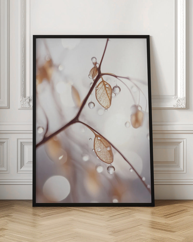 Tiny Wet Leafs Poster