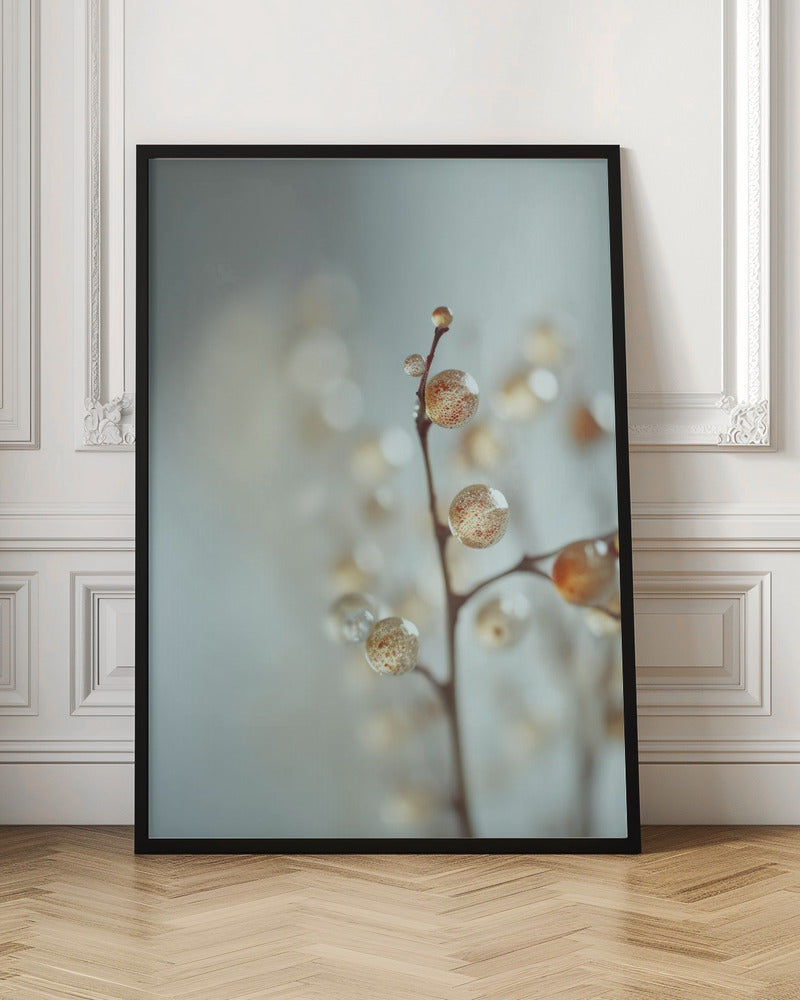 Glassy Berries Poster