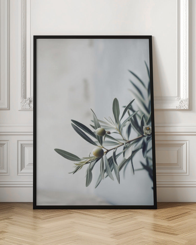 Olives Poster