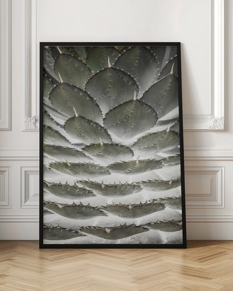 Agave Layers Poster