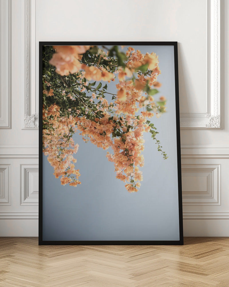 Assos Blooms Poster