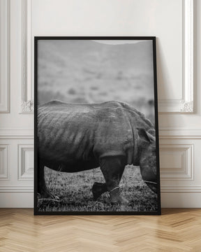 Black Rhino Poster