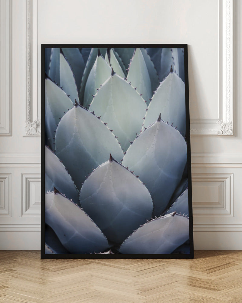 Blue Agave Side Poster