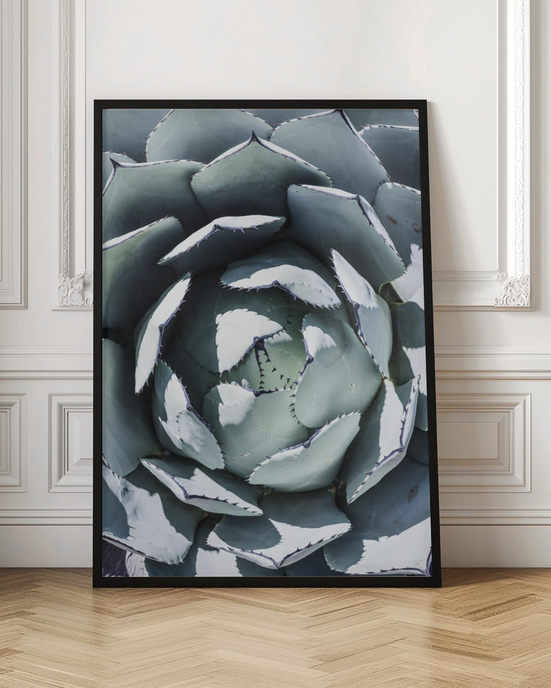 Blue Agave Top Poster