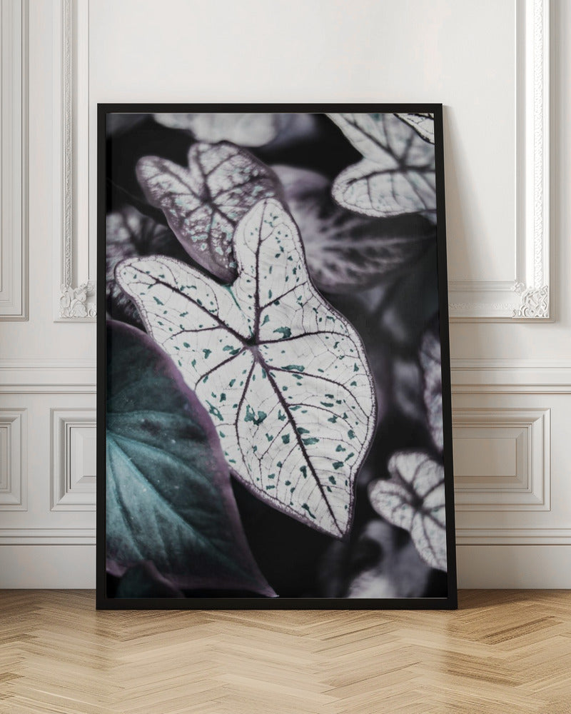 Botanical Saphire Poster