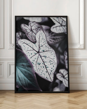 Botanical Saphire Poster