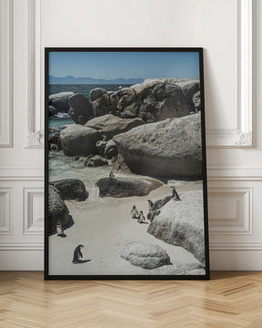 Boulders Beach Poster