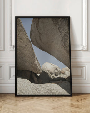 Boulders Beach Cape Town Poster