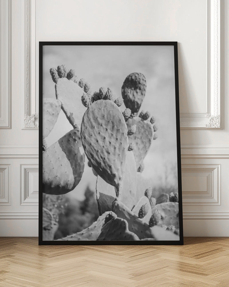 Cacti Cowboy No1 Poster