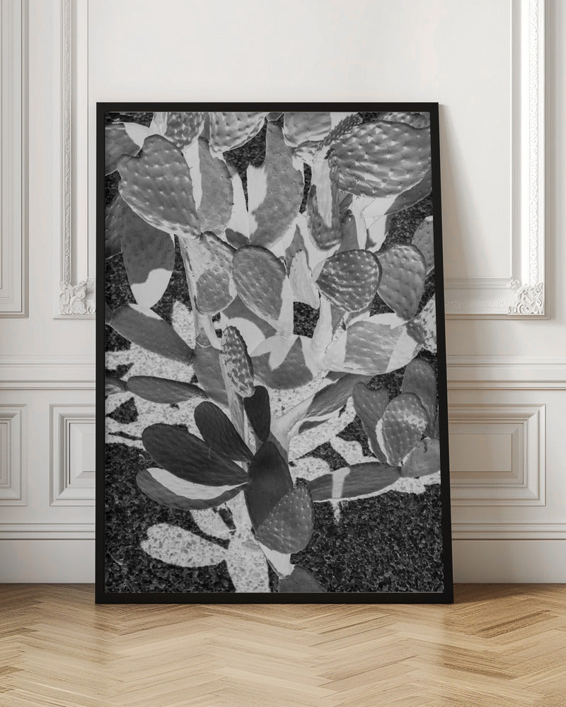 Cacti Cowboy No2 Poster