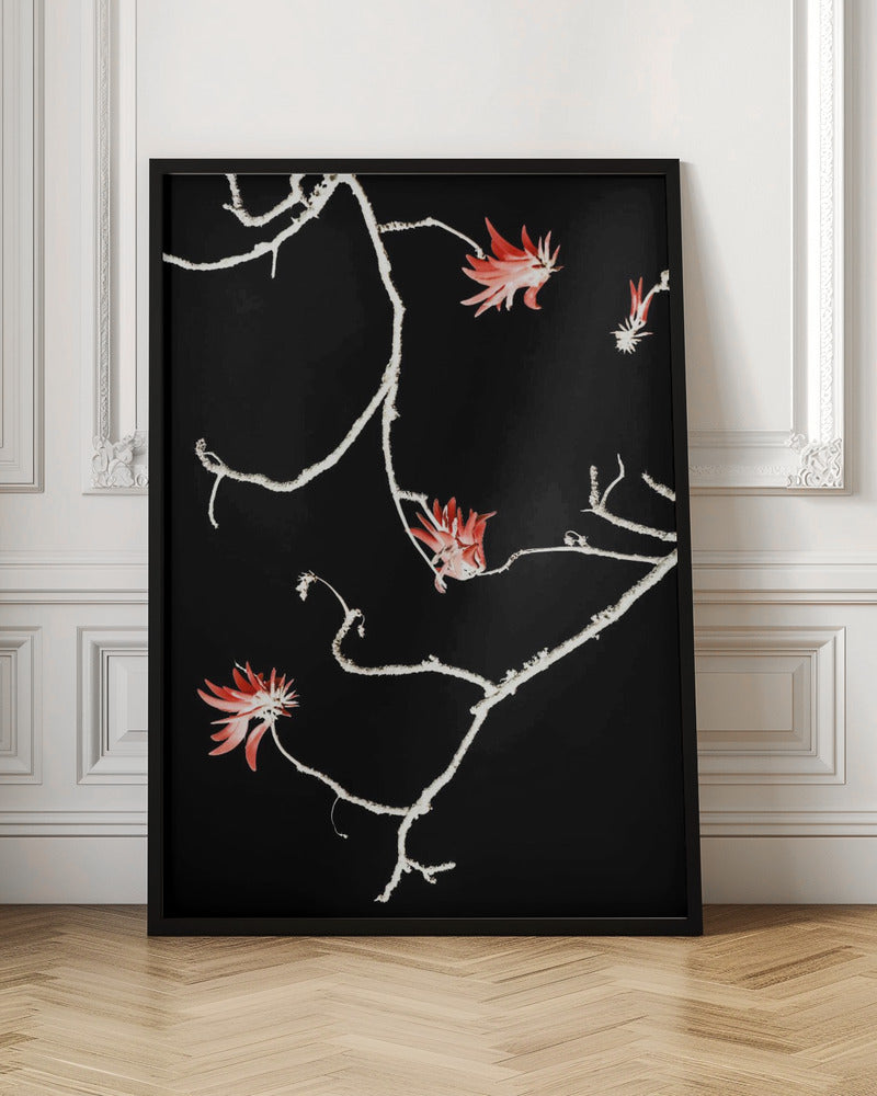 Coral Tree Poster