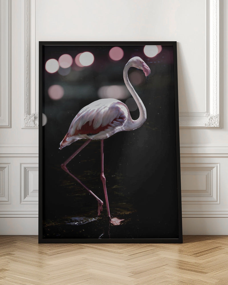 Dancing Flamingo Poster