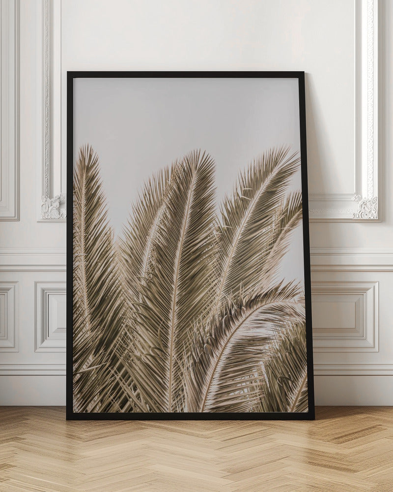 Desert Palm Poster